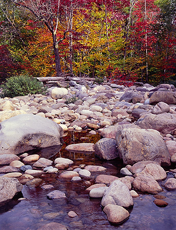 Rocky River in Fall, NH